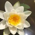 Vivi Natura
