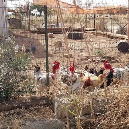 Farmház Vivi Natura Gallipoli